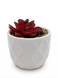 Vase 11
