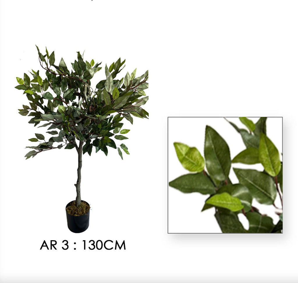AR3