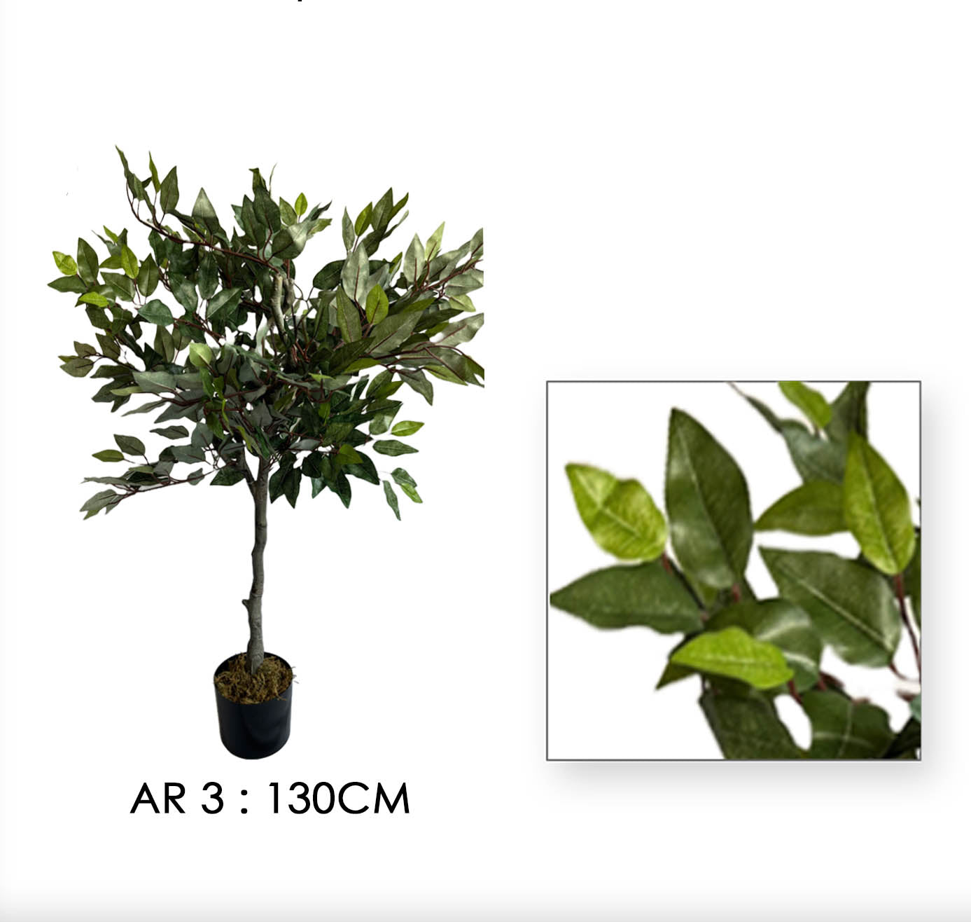 AR3