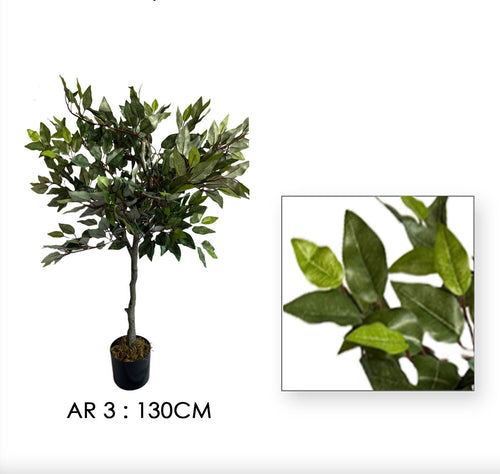 AR3
