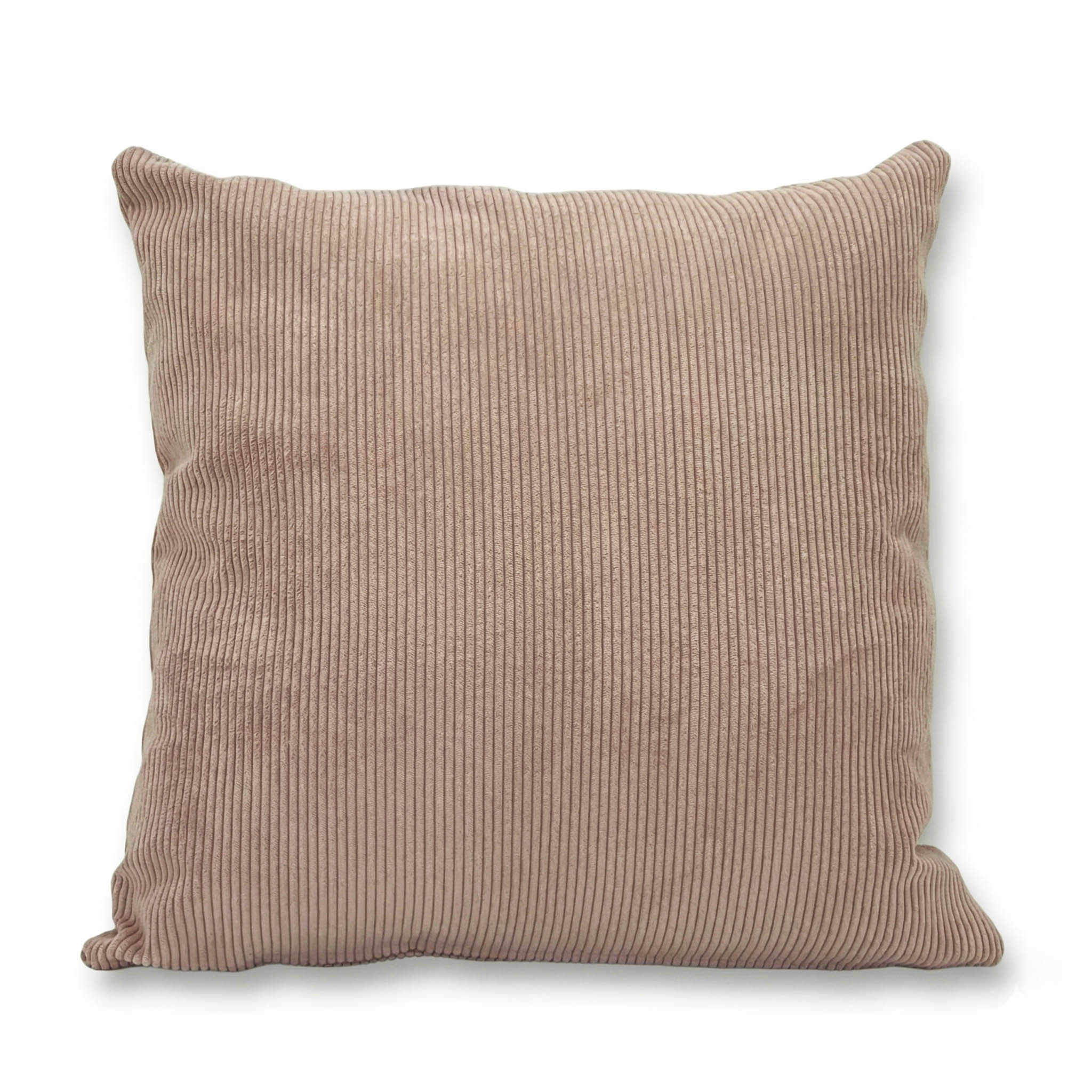 CORDUROY 2